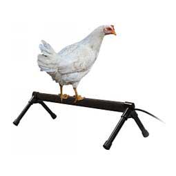 Thermo-Chicken Perch K&H Pet